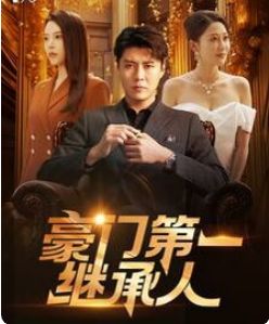 《豪门第一继承人》海报