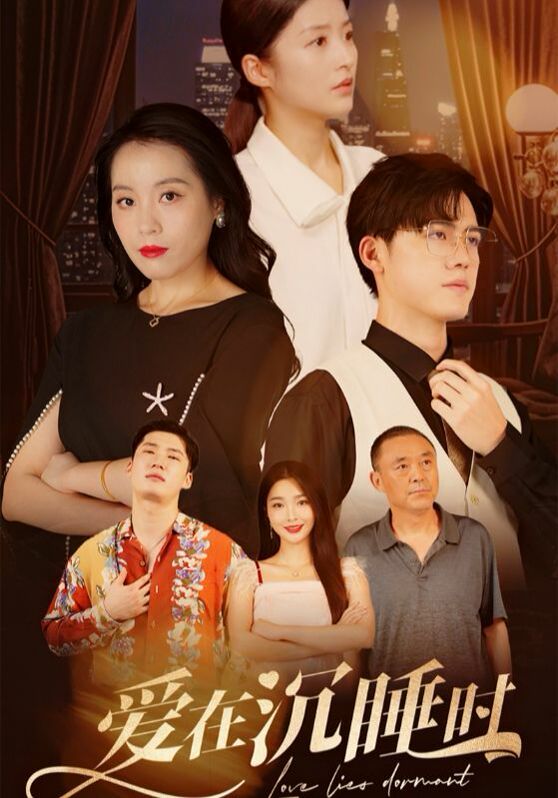 《爱在沉睡时》海报
