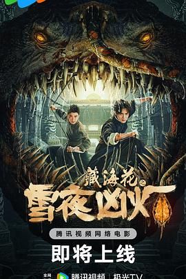 《藏海花之雪夜凶灯》海报