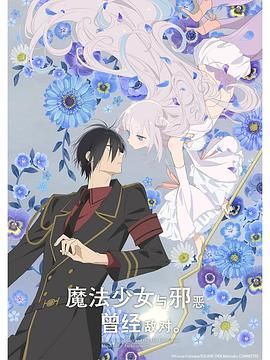 《魔法少女与恶曾是敌人》海报