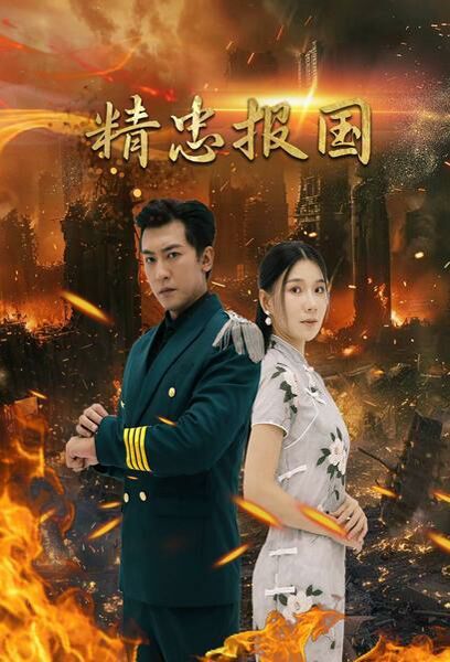 《精忠报国》海报