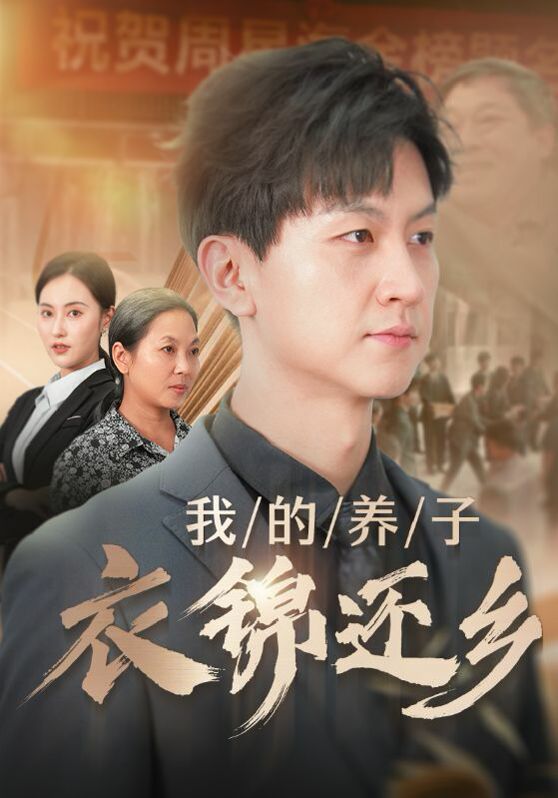 《我的养子衣锦还乡》海报
