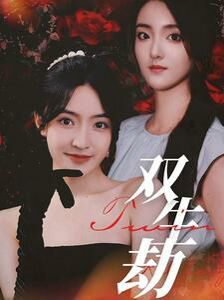《双生劫》海报