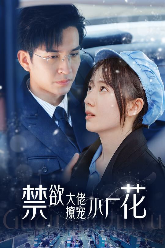 《禁欲大佬撩宠小厂花（小可怜靠生子宠冠电子厂）》海报