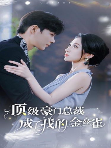 《顶级豪门总裁成了我的金丝雀》海报