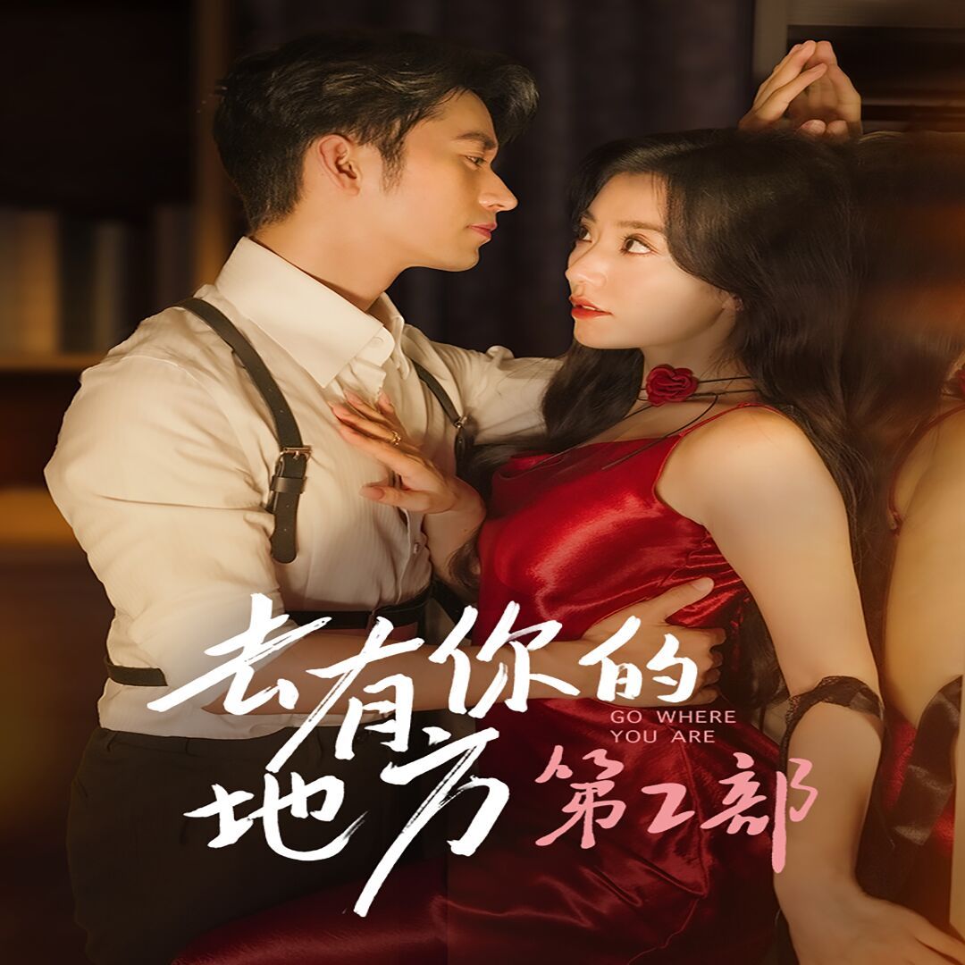 《去有你的地方第2部》海报