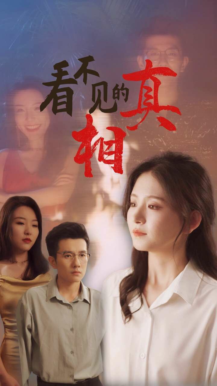 《看不见的真相》海报