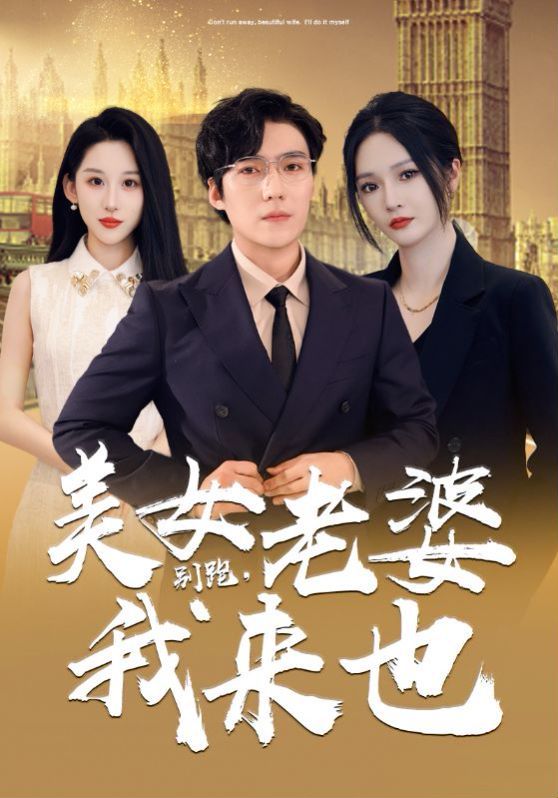 《别跑，美女老婆我来也》海报