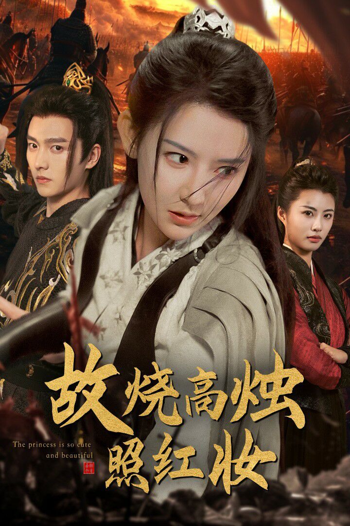 《故烧高烛照红妆》海报