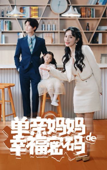 《单亲妈妈的幸福密码》海报
