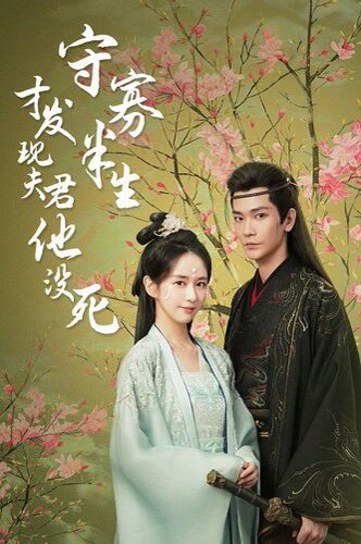 《守寡半生才发现夫君他没死》海报