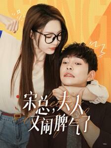 《宋总，夫人又闹脾气了》海报
