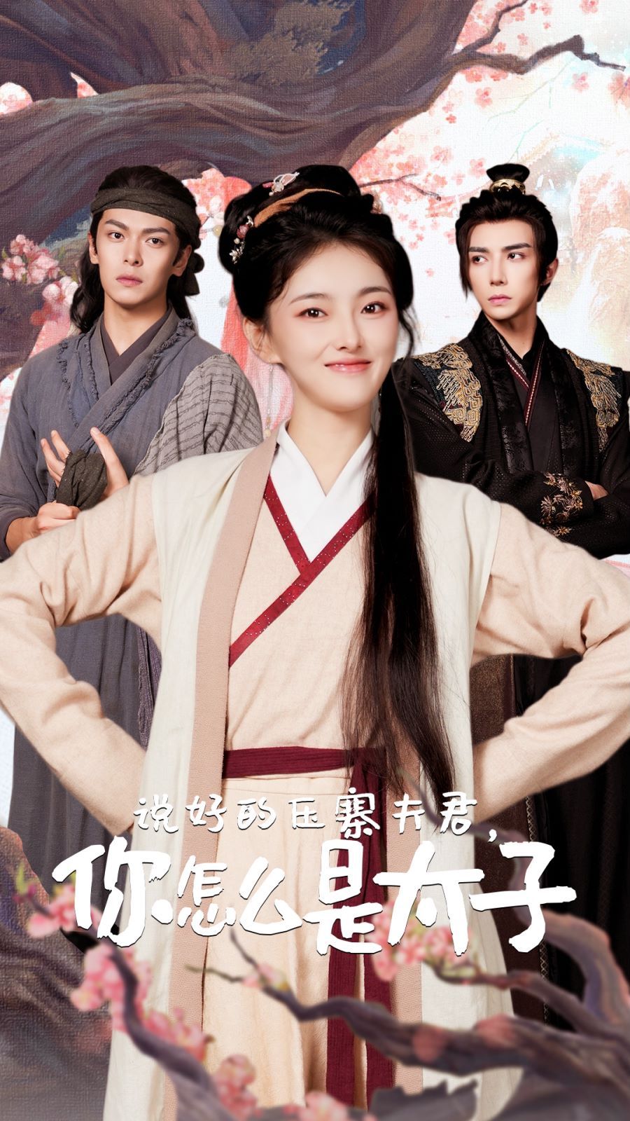 《说好的压寨夫君，你怎么是太子》海报