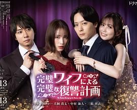 《完美妻子的完美复仇计划》海报
