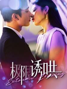 《极限诱哄》海报