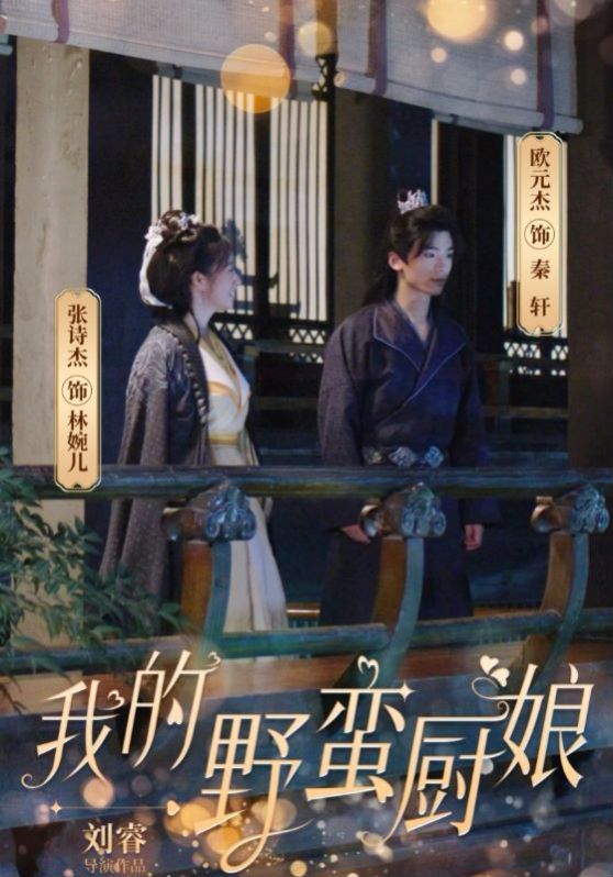 《我的野蛮厨娘》海报