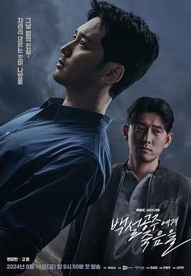 《白雪公主必须死》海报