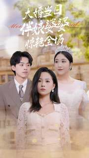 《大婚当日伴娘婆婆惊艳全场》海报