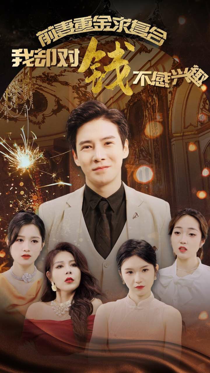 《前妻重金求复合我却对钱不感兴趣》海报