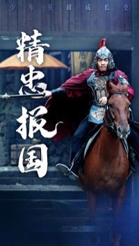 《新精忠报国》海报