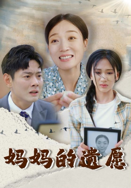 《妈妈的遗愿》海报