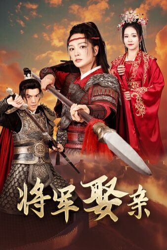 《将军娶亲》海报