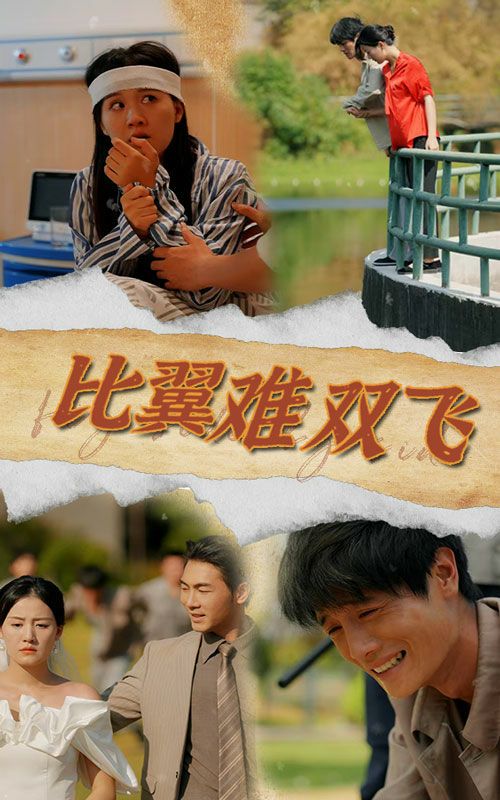 《比翼难双飞》海报