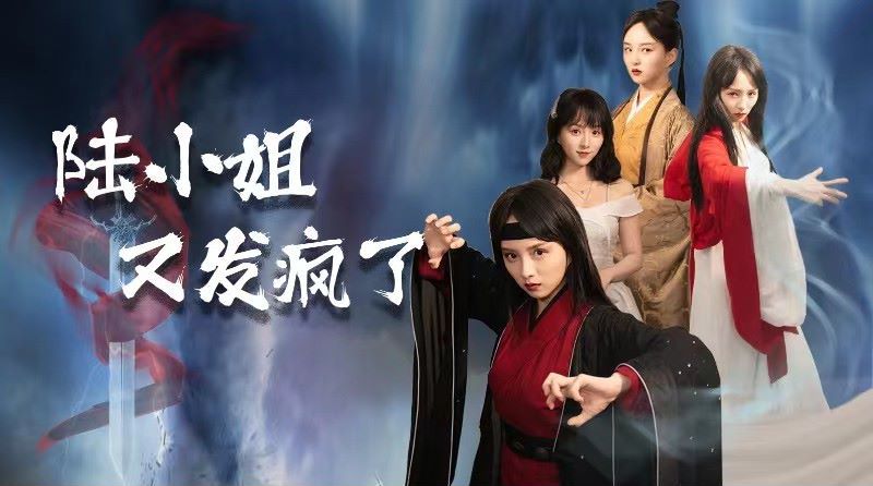 《陆小姐又发疯了》海报