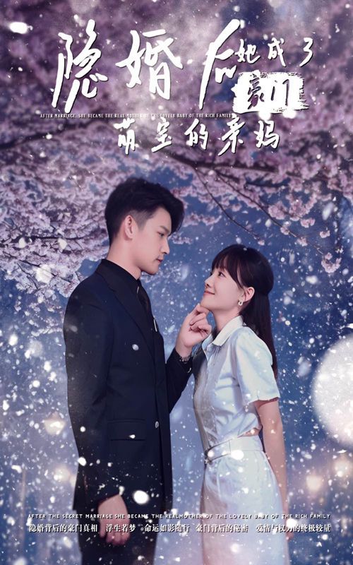 《隐婚后，她成了豪门萌宝的亲妈》海报
