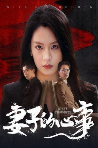 《妻子的心事》海报