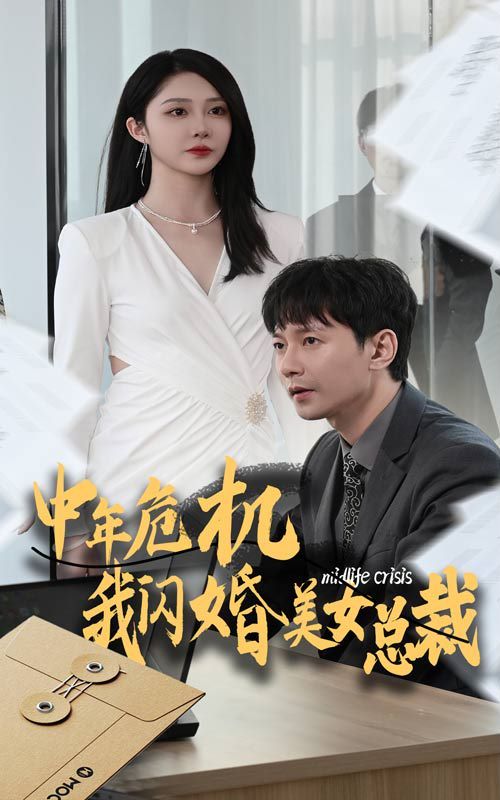《中年危机我闪婚美女总裁》海报
