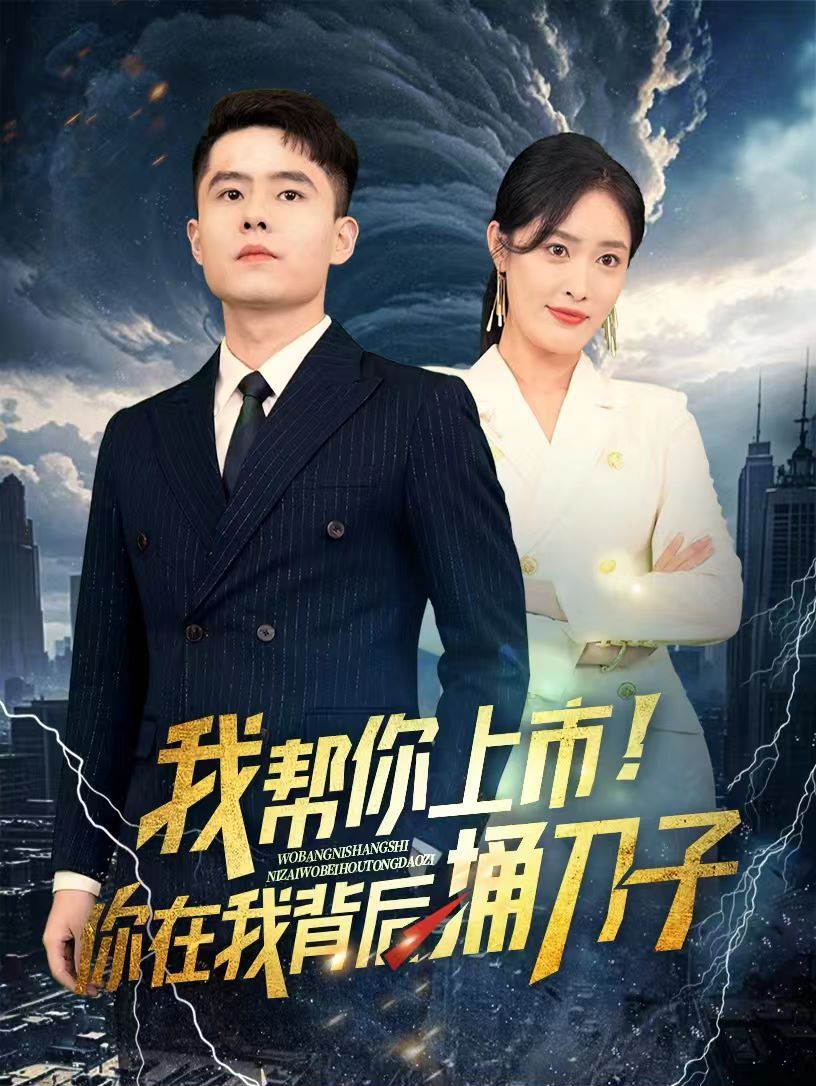 《我帮你上市！你在我背后捅刀子》海报