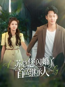 《苏总您闪婚了首富继承人》海报