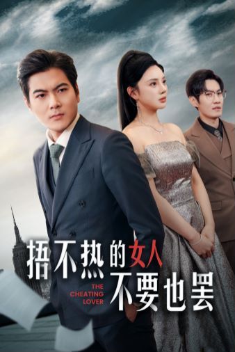 《捂不热的女人不要也罢》海报