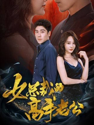 《女总裁的高手老公》海报