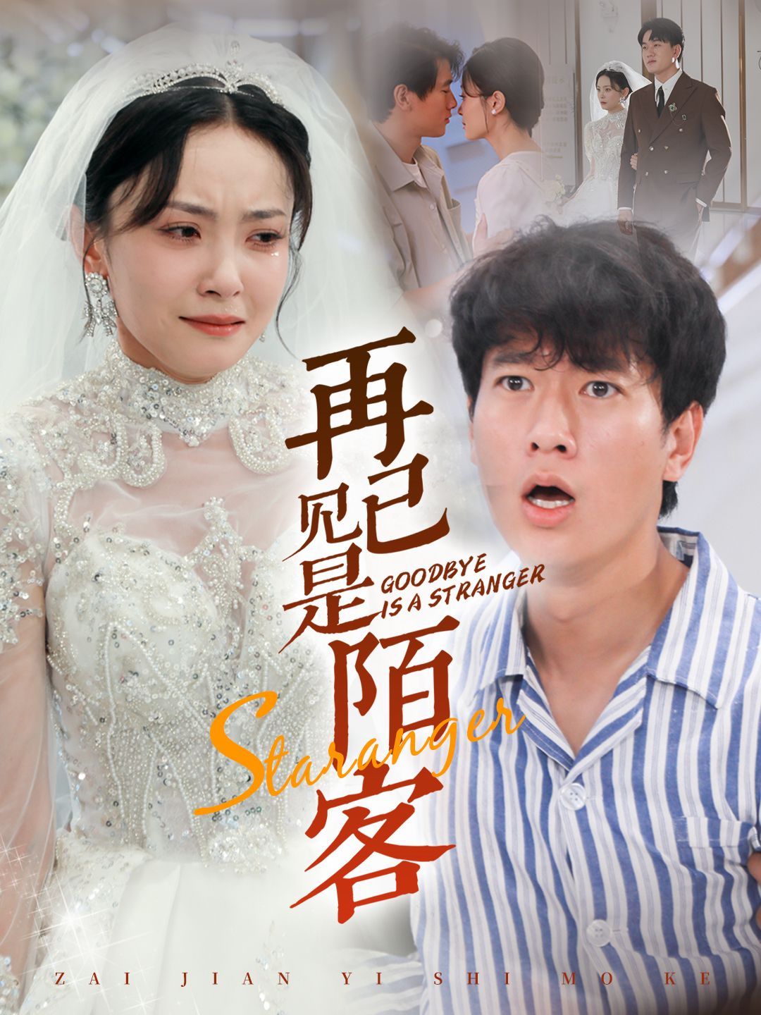《再见已是陌客（归来的星光）》海报
