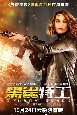 《黑雀特工普通话版》海报