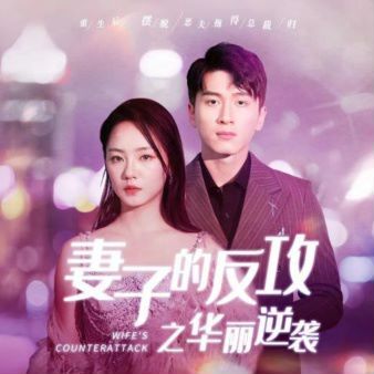 《妻子的反攻之华丽逆袭》海报