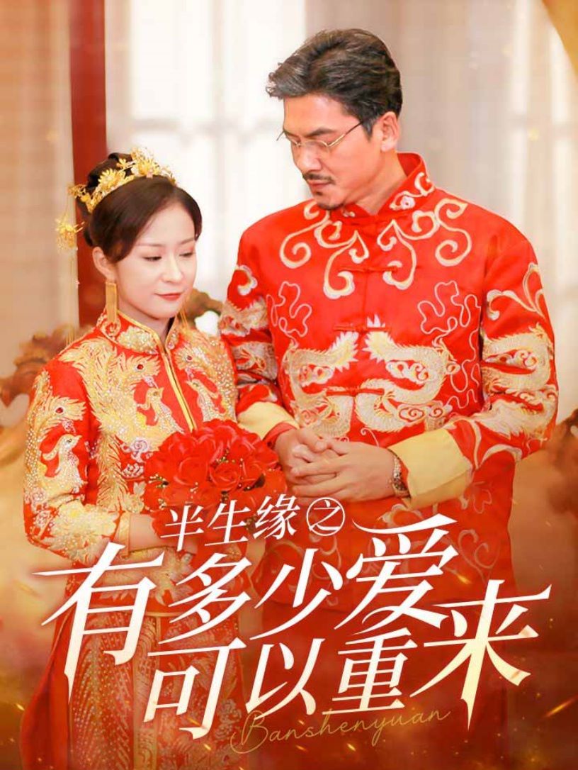 《半生缘之有多少爱可以重来》海报