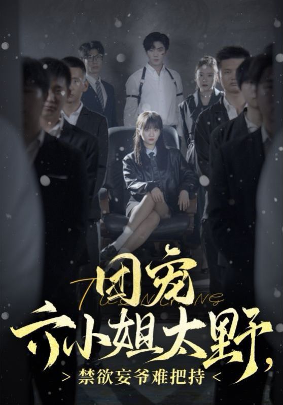 《团宠六小姐太野，禁欲王爷难把持》海报