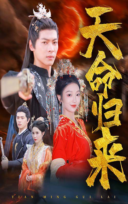 《天命归来》海报
