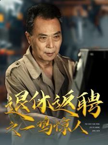 《退休返聘之一鸣惊人》海报