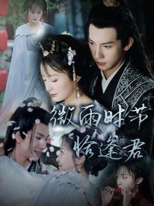 《微雨时节恰逢君》海报