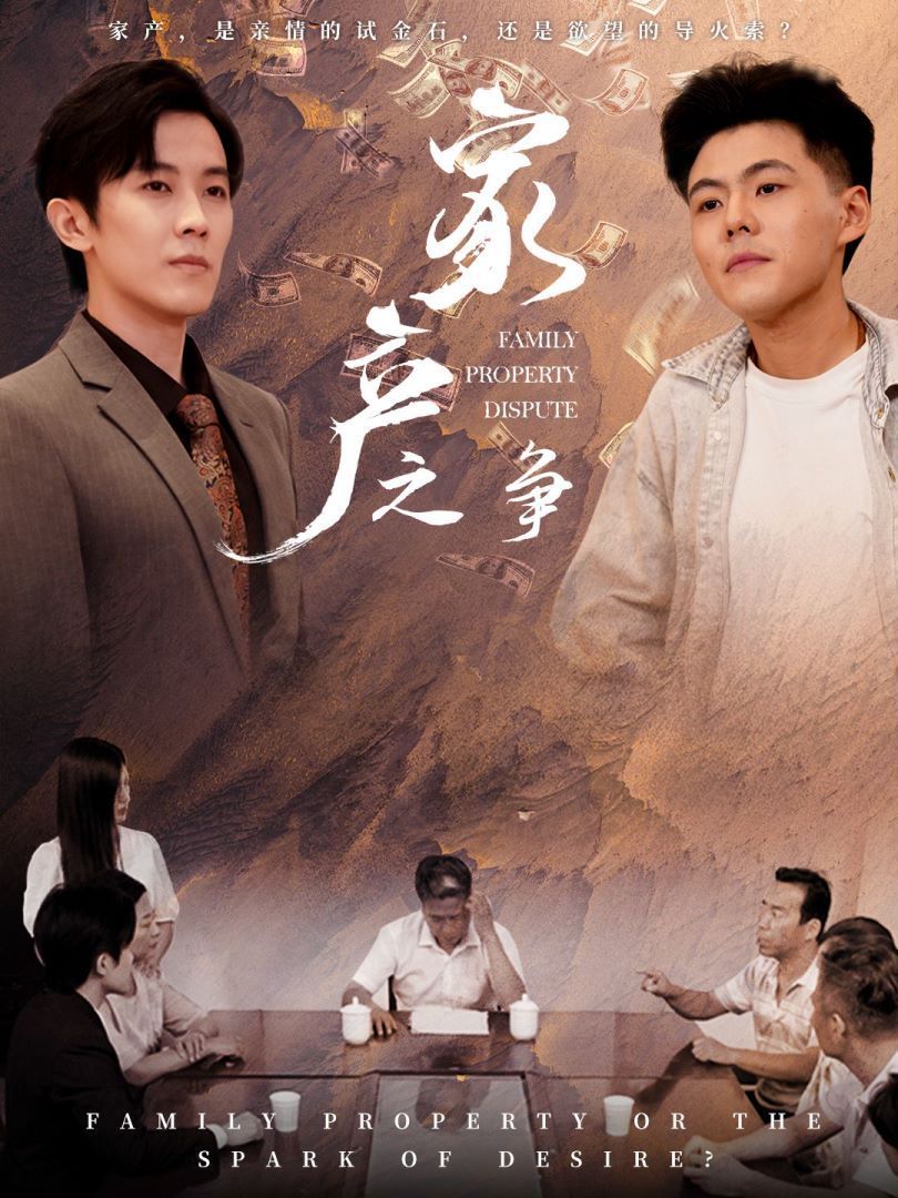 《家产之争》海报