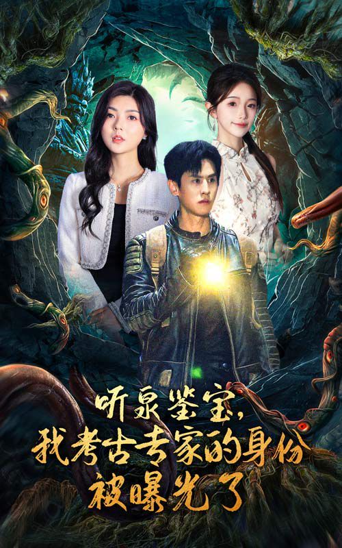 《听泉鉴宝，我考古专家的身份被曝光了》海报