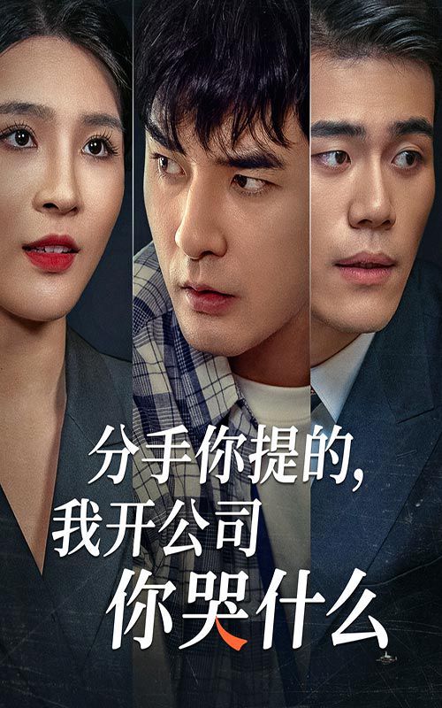 《分手你提的，我开公司你哭什么》海报