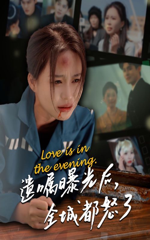 《遗嘱曝光后，全城都怒了》海报