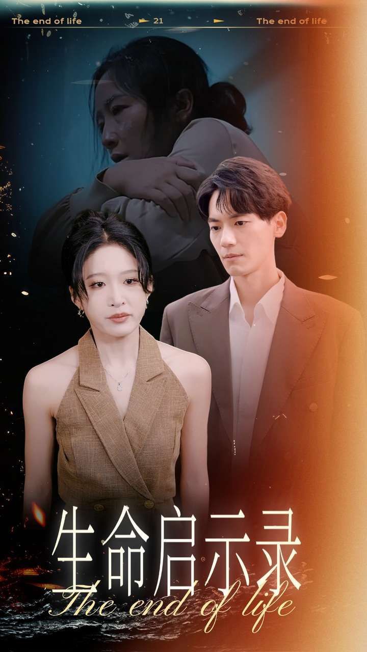 《生命启示录》海报