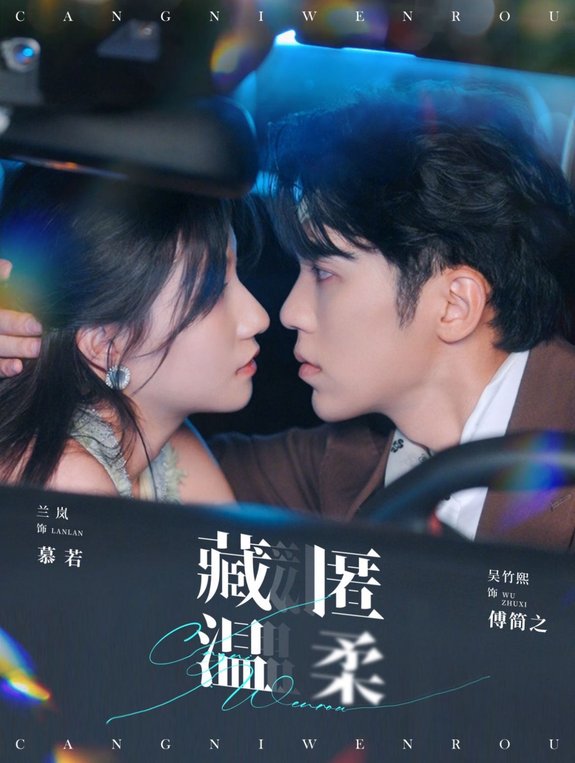 《藏匿温柔》海报