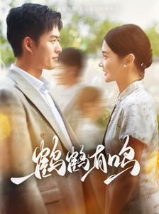 《鹤鹤有鸣》海报